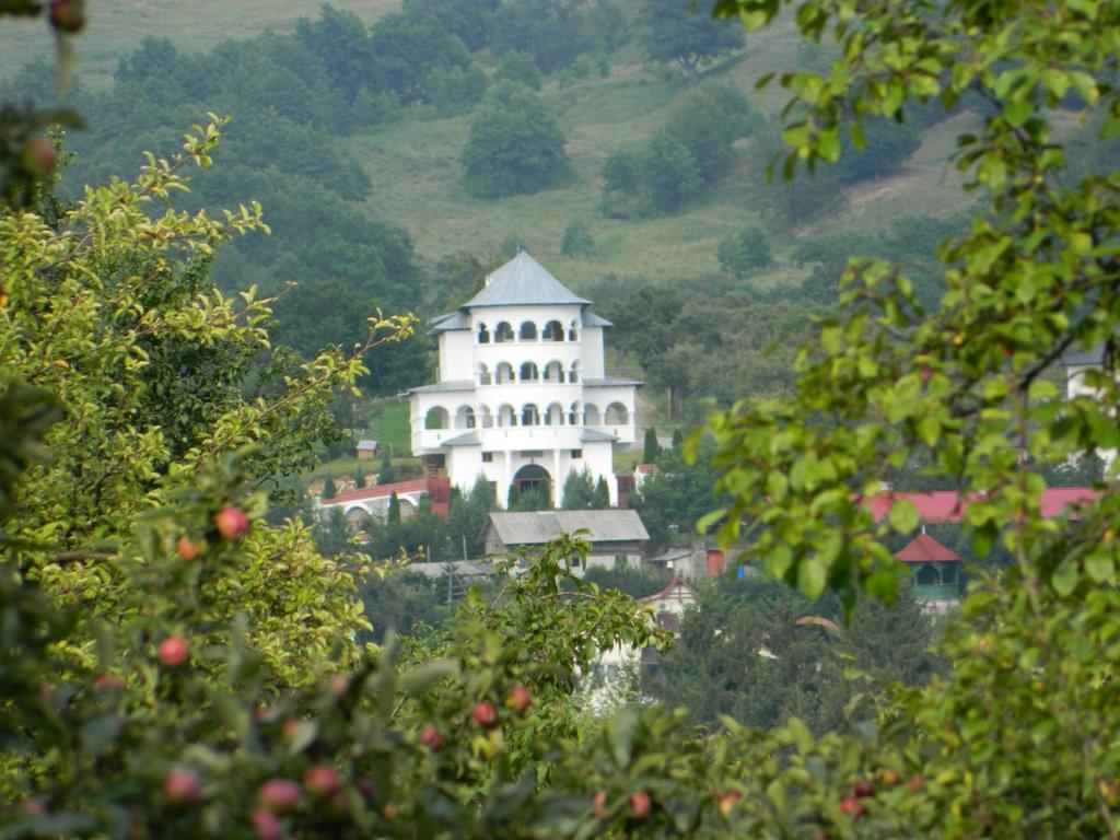 Hotel Pensiunea Tiuta Corbeni Exteriér fotografie