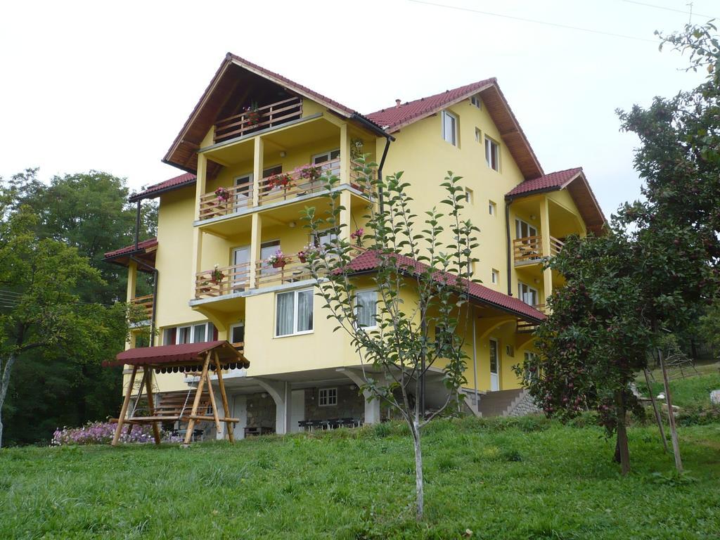 Hotel Pensiunea Tiuta Corbeni Exteriér fotografie
